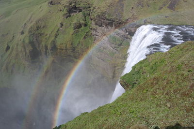 Scenic view of waterfall in forest