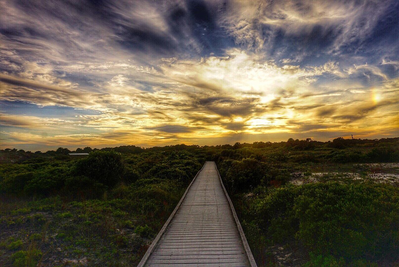 Washington oaks state park