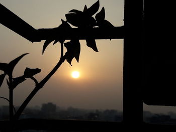 Silhouette plant against sky during sunset