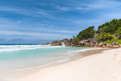 Idyllic tropical beach with sea waves and green palm trees on sunny day in summer.