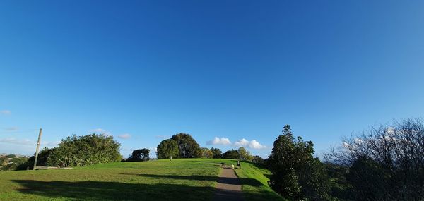 Trees on field against clear blue sky