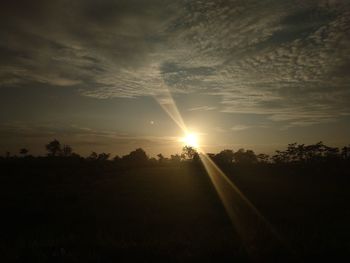 Silhouette trees on field against sky during sunset