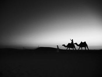 Silhouette horse cart on desert against sky