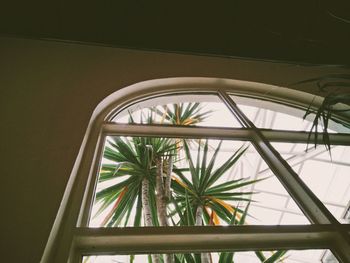 Close-up view of greenhouse