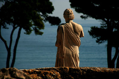 Rear view of man standing by lake against trees