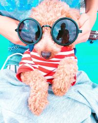 Close-up of man wearing sunglasses