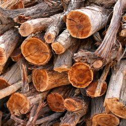 Full frame shot of logs in forest