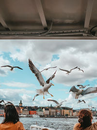 Seagulls flying over the sea against sky