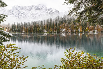 Scenic view of lake by trees against sky