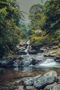 Scenic view of waterfall in forest