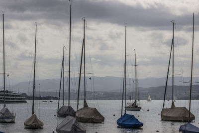 Sailboats moored in sea against sky