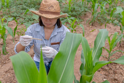 Rear view of woman wearing hat while standing amidst plants