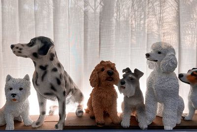 Four dog puppets sitting in front of a window