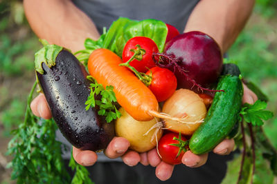 High angle view of vegetables