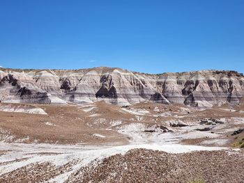 Petrified forest 