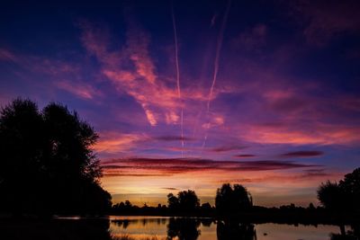 Silhouette of trees at sunset