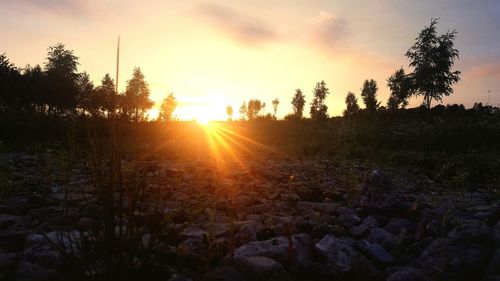 Scenic view of sunset over landscape