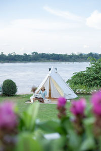 Scenic view of purple flowering plants against sky