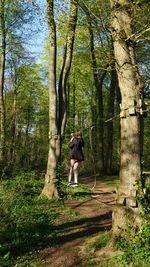 Rear view of woman standing amidst trees in forest