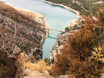 View of plants growing in water