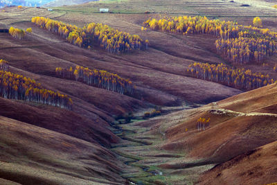 High angle view of agricultural field