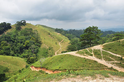 Scenic view of landscape against sky