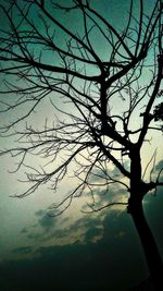 Silhouette bare tree by lake against sky