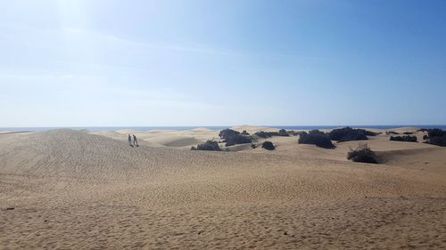 Scenic view of desert against blue sky