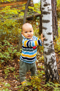 Portrait of boy standing by tree trunk