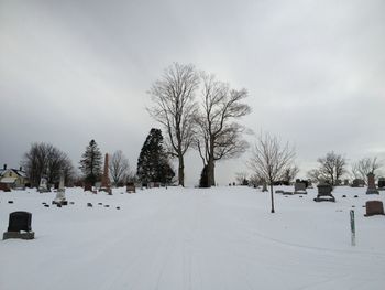 Bare trees on snow covered landscape