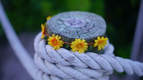 Rope tied around pole flowers