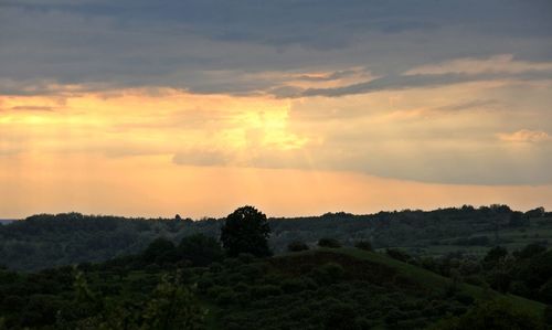 Scenic view of field against sky at sunset