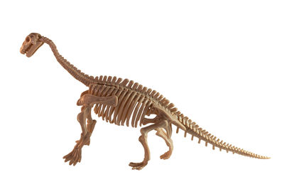 Side view of an animal representation