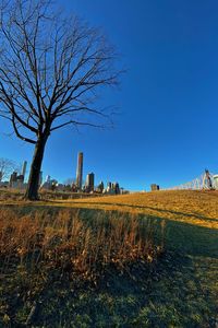 Bare tree on field against clear sky
