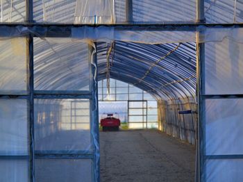 Empty greenhouse seen through doorway