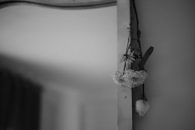 Close-up of rope tied to metal wall