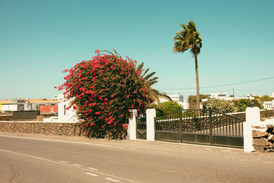 Empty road against clear blue sky
