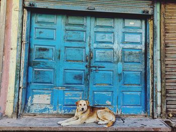 Closed blue door of building