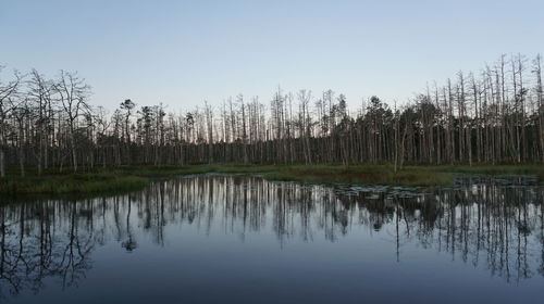 Scenic view of lake against clear sky