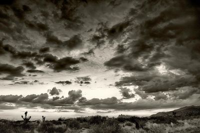 Scenic view of landscape against cloudy sky