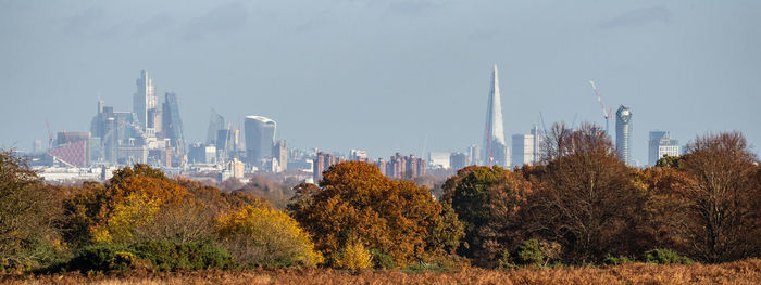 Panoramic view of trees and buildings against sky