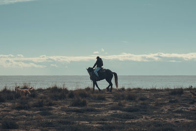 Man riding horse in sea against sky