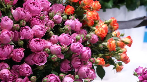 Close-up of roses blooming outdoors