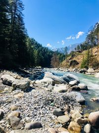 Surface level of stream amidst rocks and trees against sky