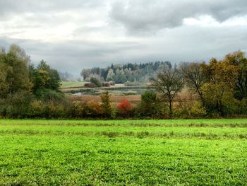 Scenic view of grassy field against cloudy sky