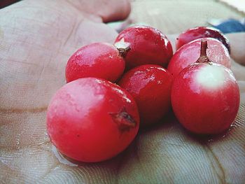 Close-up of hand holding strawberries
