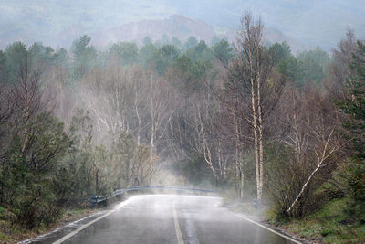 Road amidst trees in forest during foggy weather