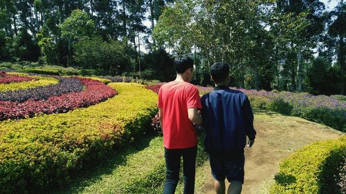 Rear view of people walking on plants