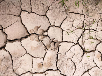 Full frame shot of cracked field