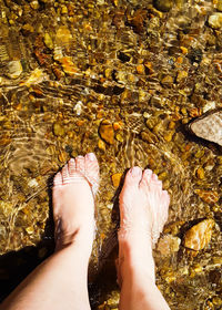 Low section of person legs in water